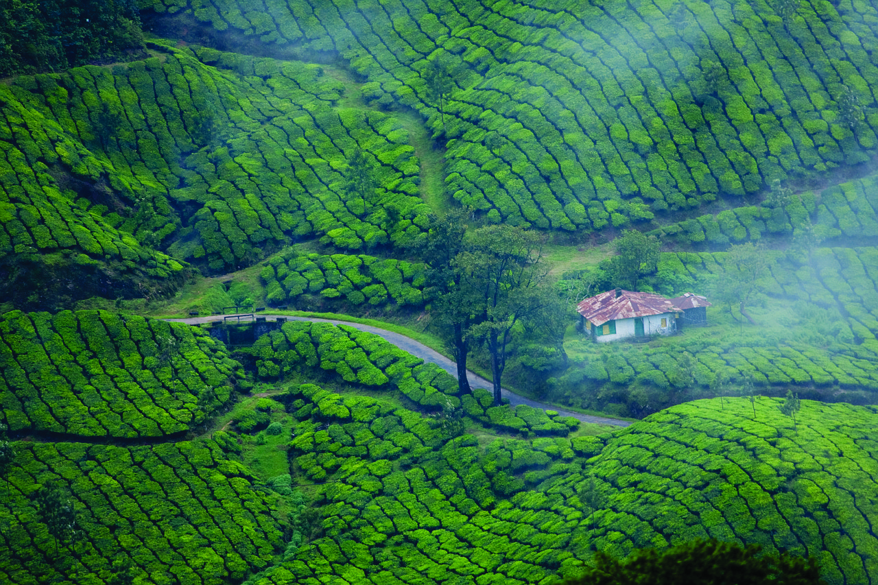 Experience Kerala